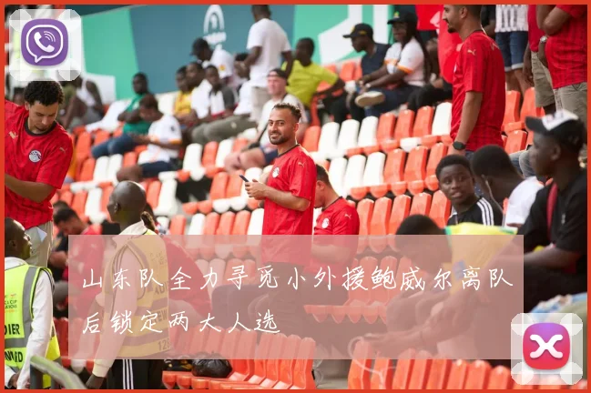 山东队全力寻觅小外援鲍威尔离队后锁定两大人选
