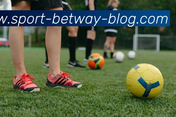 必威体育平台生态图