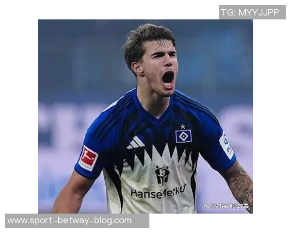 热刺对武什科维奇在汉堡的外租表现表示满意视其为球队重要一员 热刺对武什科维奇在汉堡的外租表现表示满意视其为球队重要一员